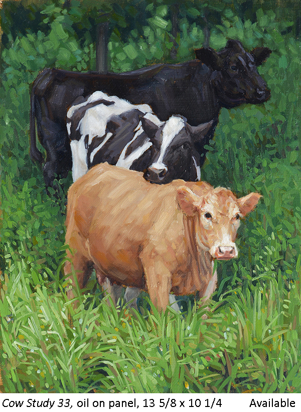 Cow Study 33_t2.jpg