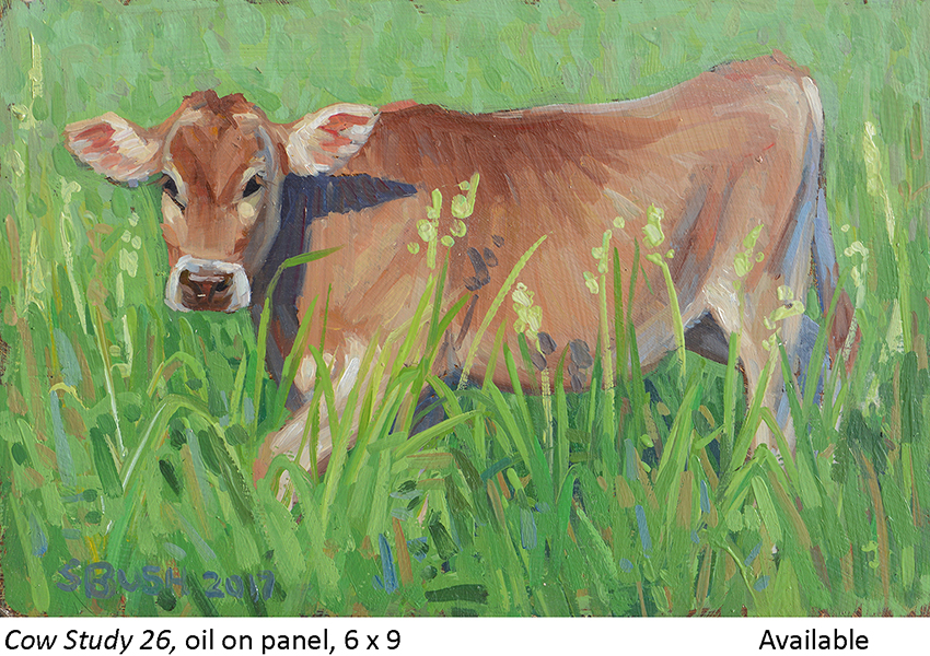 Cow Study 26_t2.jpg