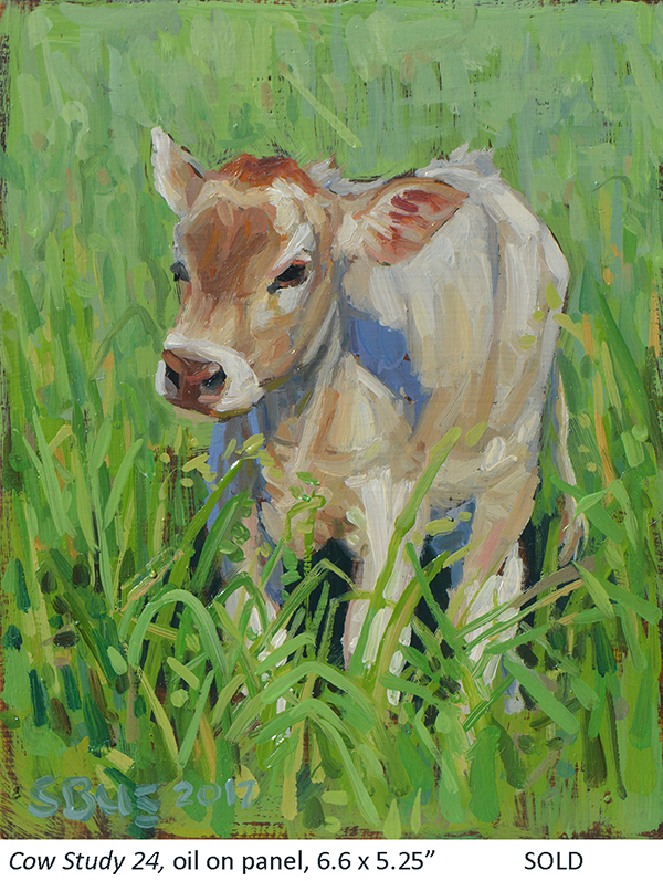 Cow Study 24_t4.jpg