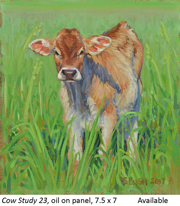 Cow Study 23_t2.jpg