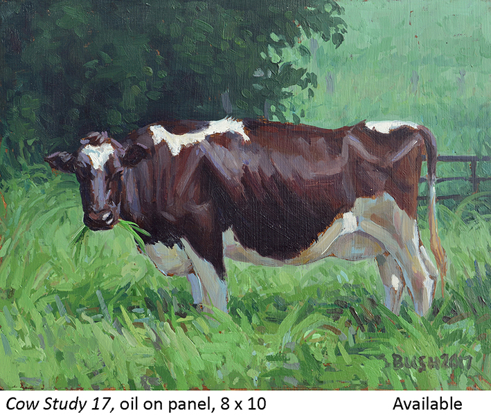 Cow Study 17_t2.jpg