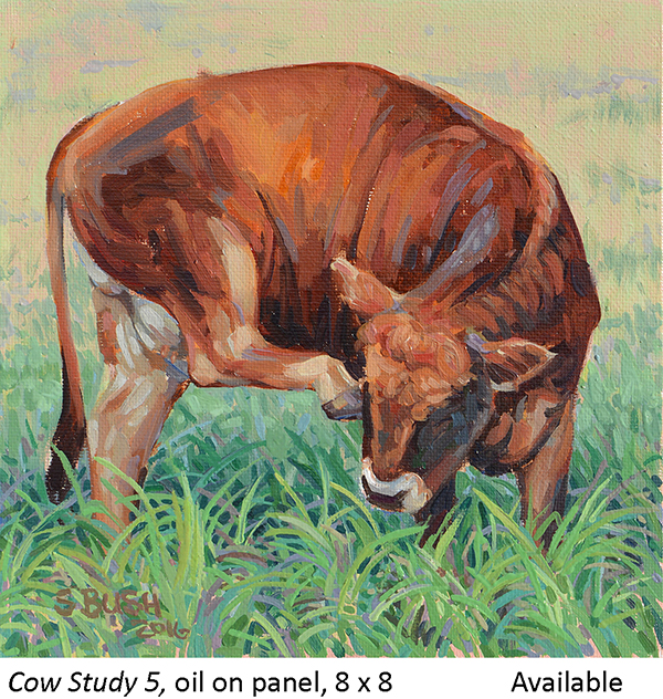 Cow Study 5_t2.jpg