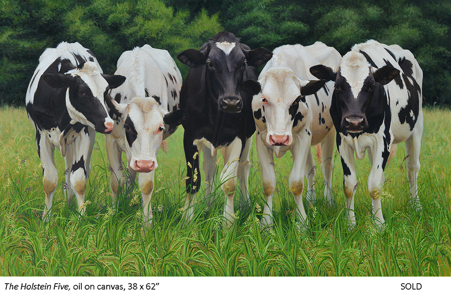 The Holstein Five_t4.jpg