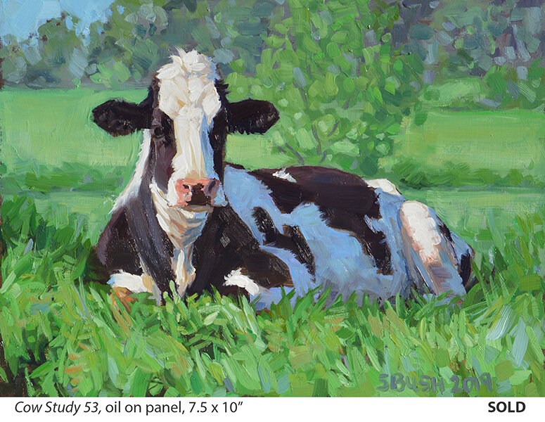 Cow Study 53_t4.jpg