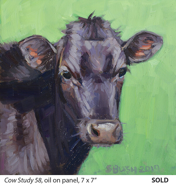 Cow Study 58_t4.jpg