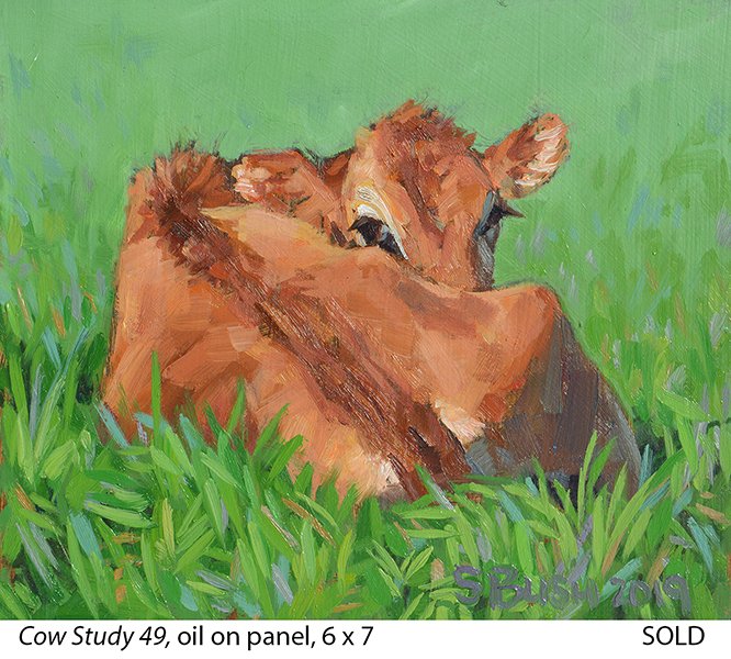 Cow Study 49_t4.jpg