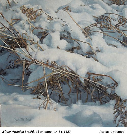 10.Winter (Hooded Brush)_t2.jpg