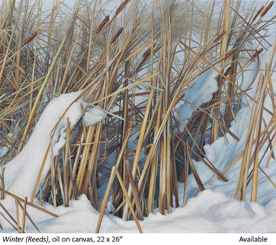 12.Winter (Reeds)_t2.JPG