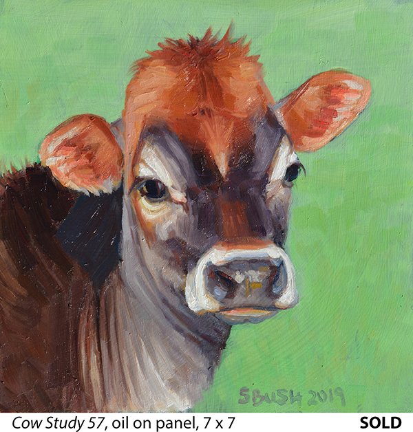 Cow Study 57_t4.jpg