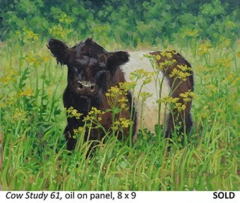 Cow Study 61_t4.jpg