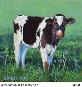 Cow Study 55_t4.jpg