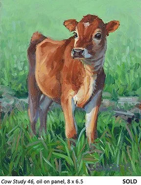 Cow Study 46_t4.jpg