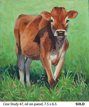 Cow Study 47_t4.jpg