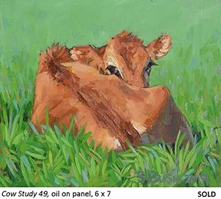 Cow Study 49_t4.jpg