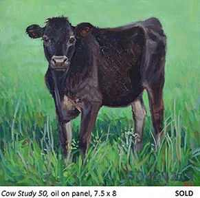 Cow Study 50_t4.jpg