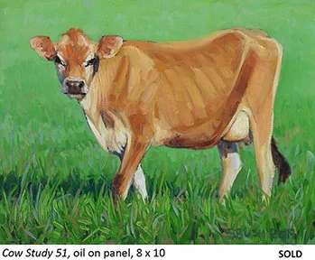 Cow Study 51_t4.jpg