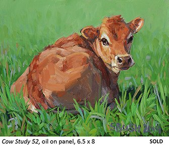 Cow Study 52_t4.jpg