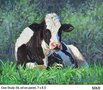 Cow Study 54_t4.jpg