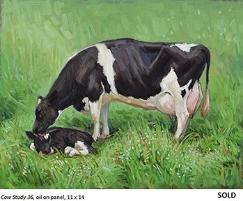 Cow Study 36_t4.jpg