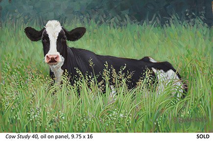 Cow Study 40_t4.jpg