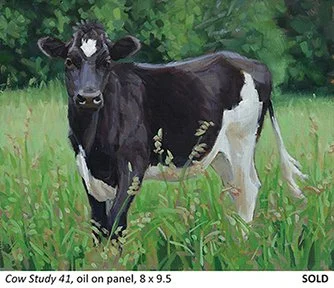 Cow Study 41_t4.jpg
