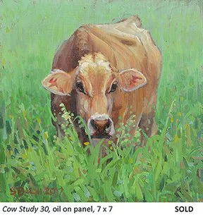 Cow Study 30_t4.jpg