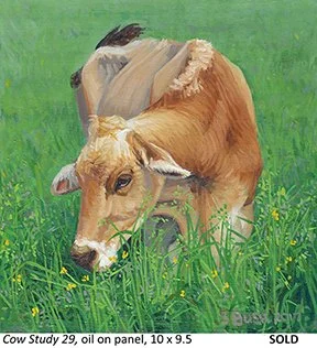 Cow Study 29_t4.jpg