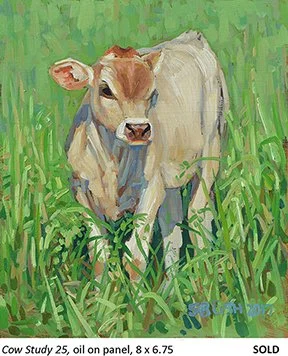 Cow Study 25_t4.jpg