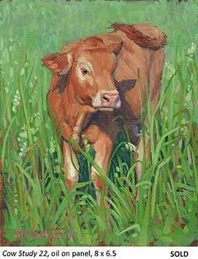 Cow Study 22_t4.jpg