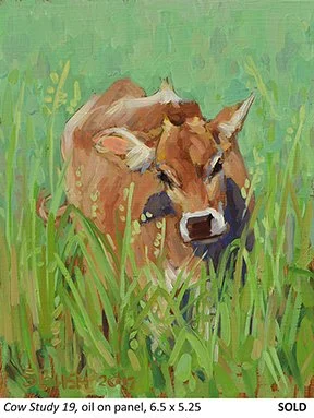 Cow Study 19_t4.jpg