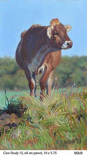Cow Study 15_t4.jpg