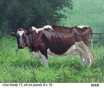 Cow Study 17_t4.jpg