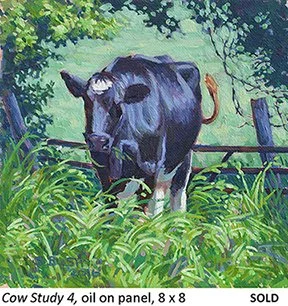 Cow Study 4_t4.jpg
