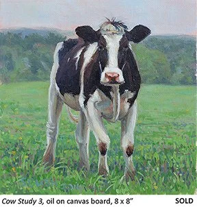 Cow Study 3_t4.jpg