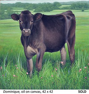 Dominique_t4.jpg