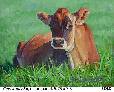 Cow Study 56_t4.jpg