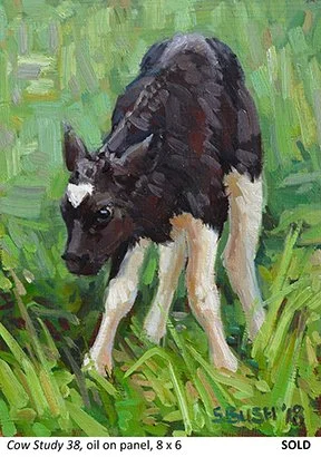 Cow Study 38_t4.jpg