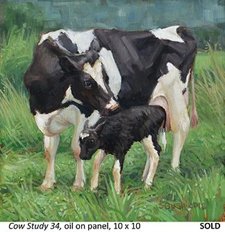 Cow Study 34_t4.jpg