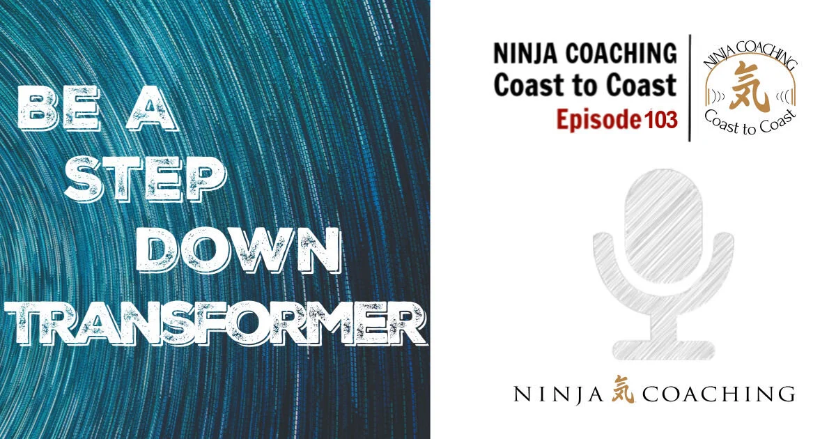 EPISODE 103: Be A Step Down Transformer
