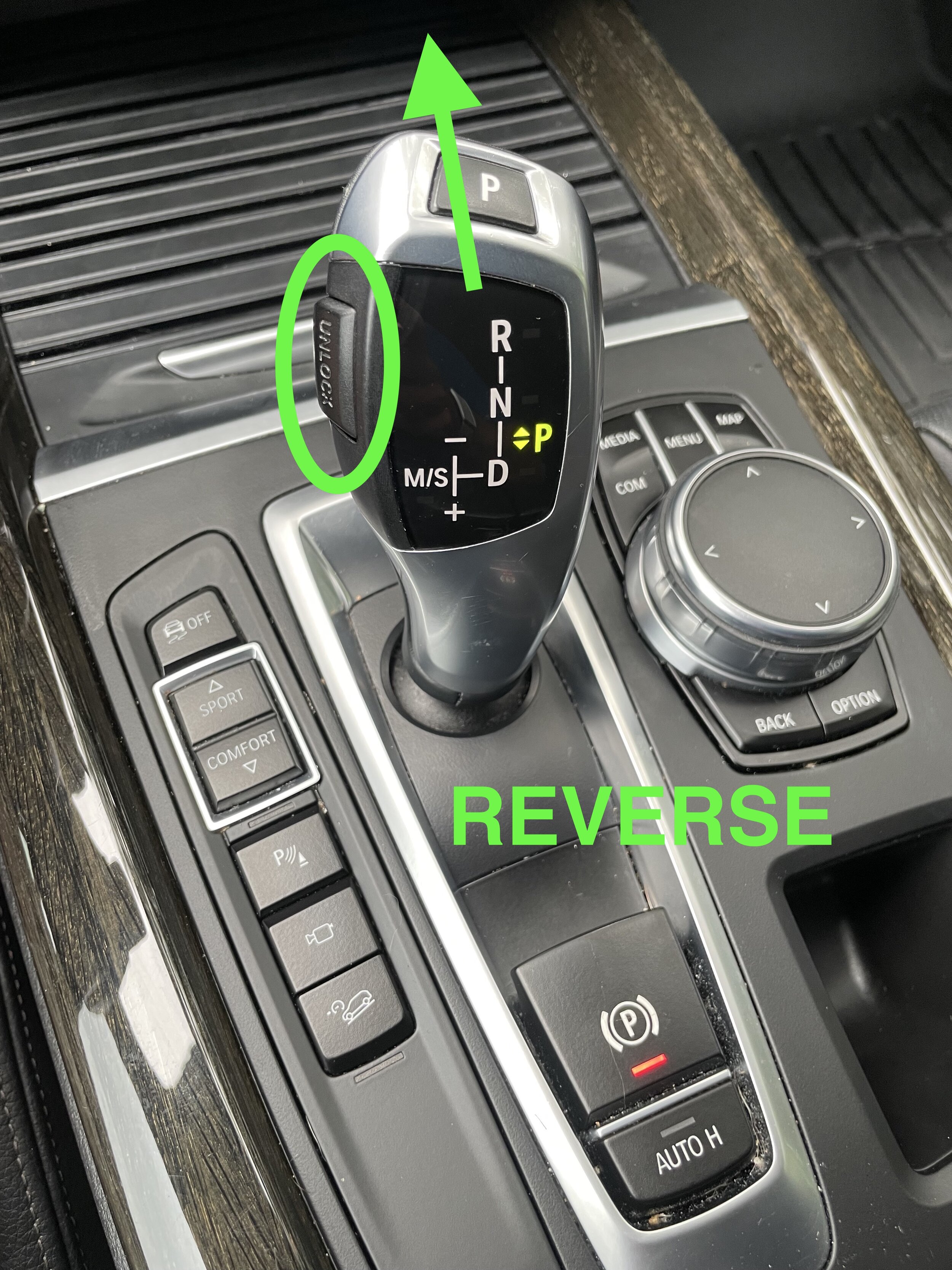 Reverse.jpeg