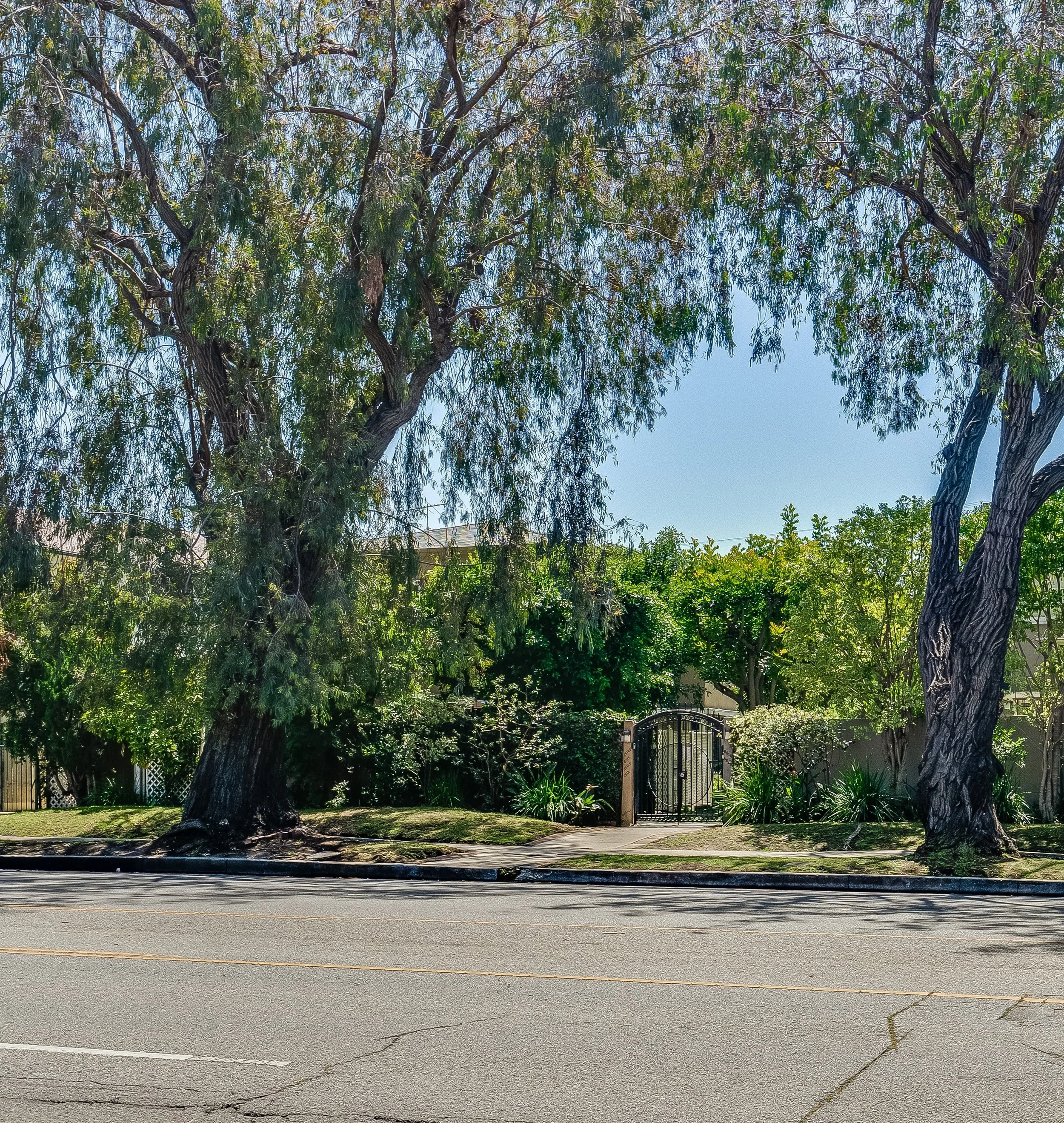 Olympic Front from Street.jpg