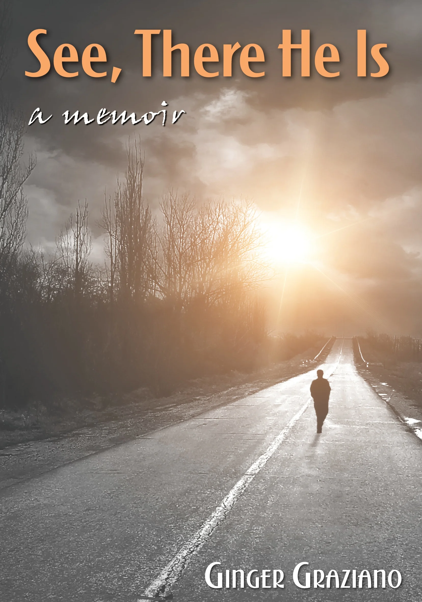 Ginger Cover.FINAL2.jpg