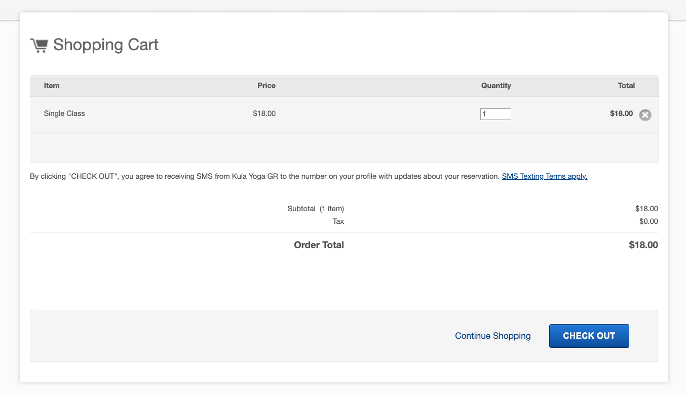 3.) Click through to the check out screen
