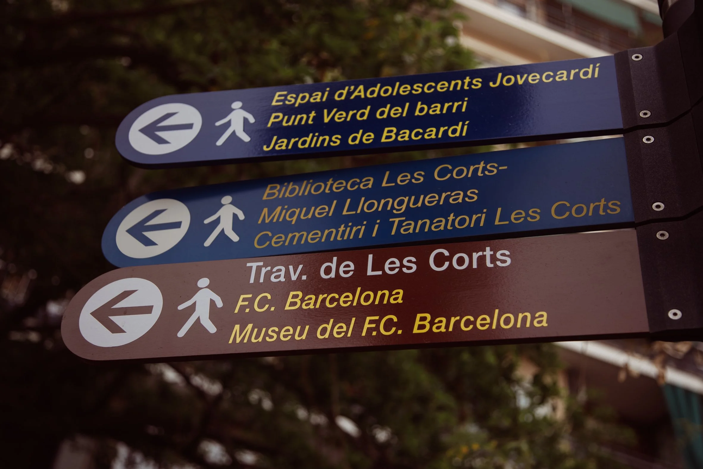 CAMP NOU LR-3.JPG