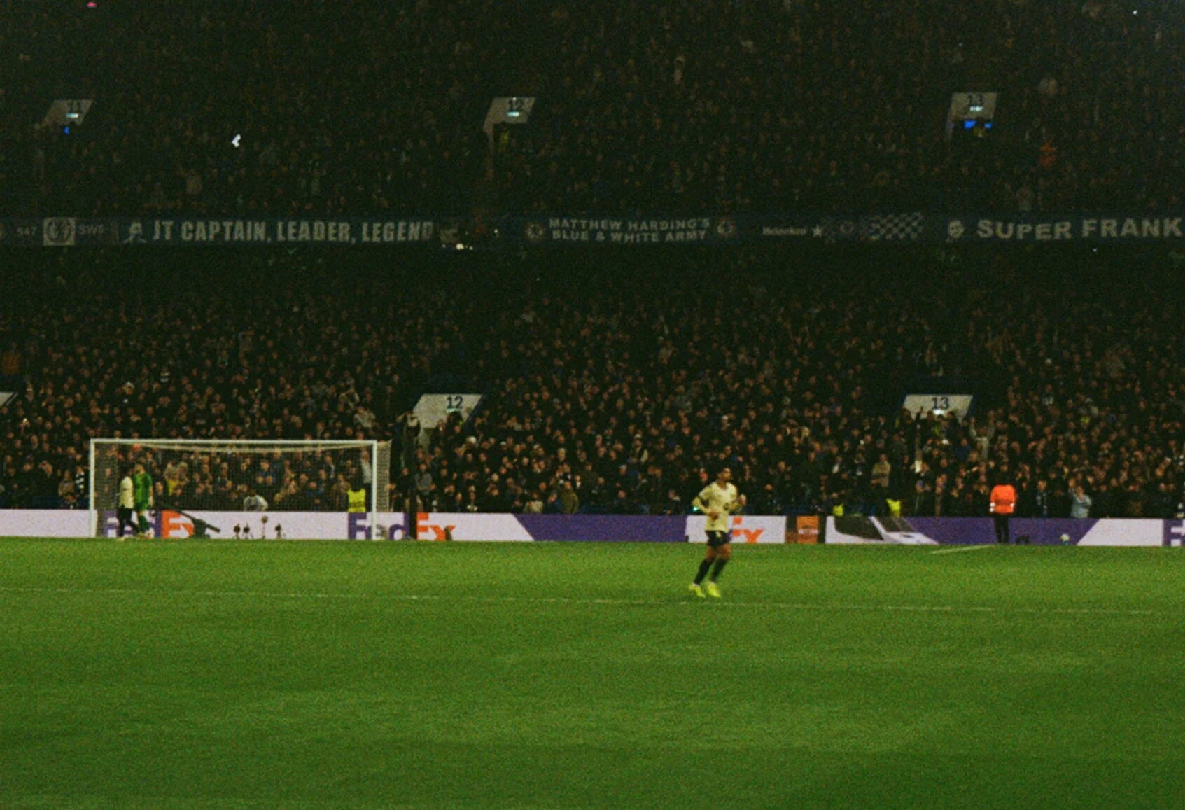 araujo.jpg
