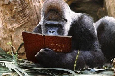 What Makes a Great Story?