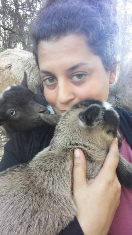 Swan with a few of her goats.