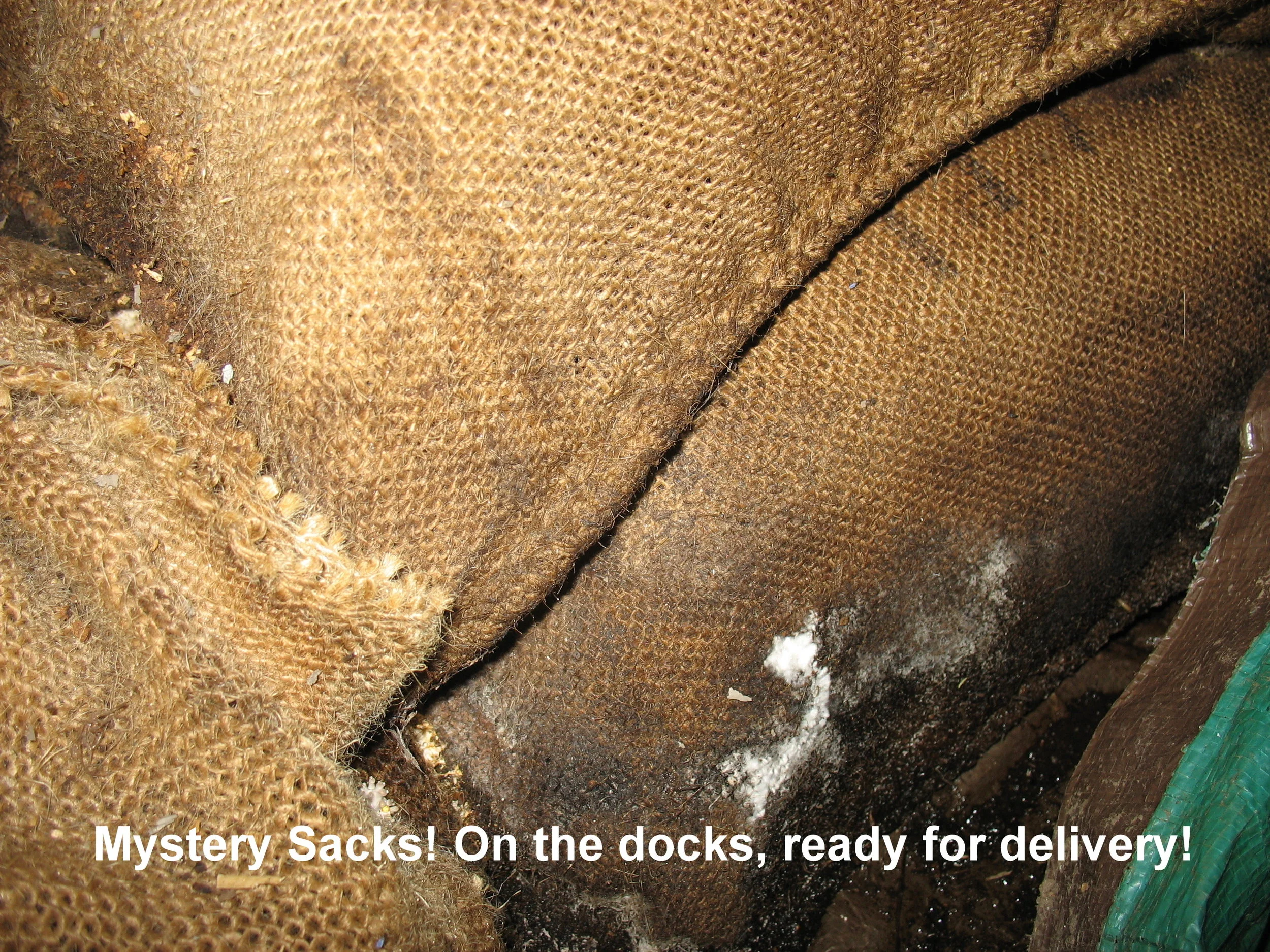 Mystery Sack! Is it meat? Can I eat the sack? Yes! It’s Mystery Sack! ™