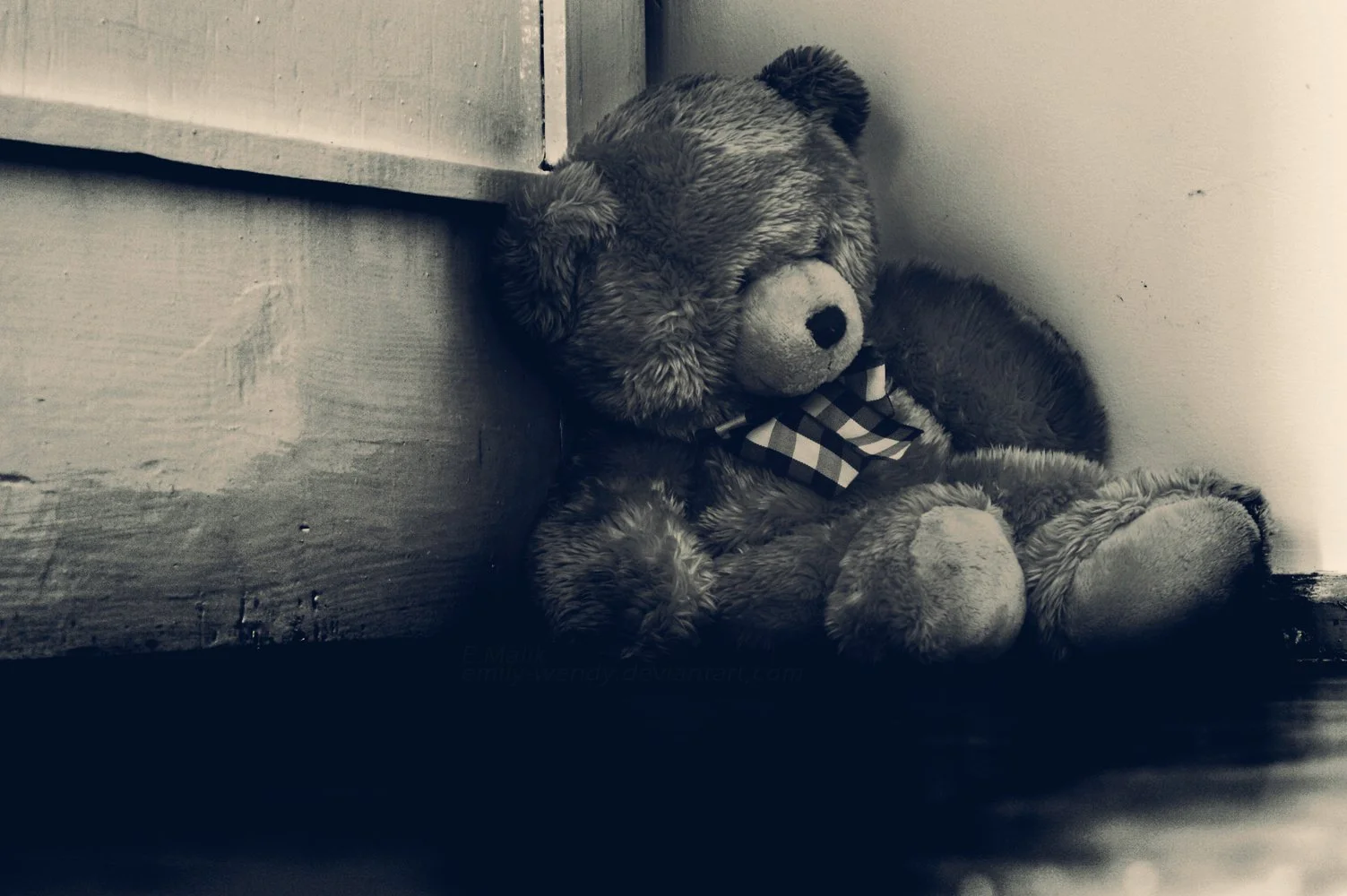 lonely bear.jpg