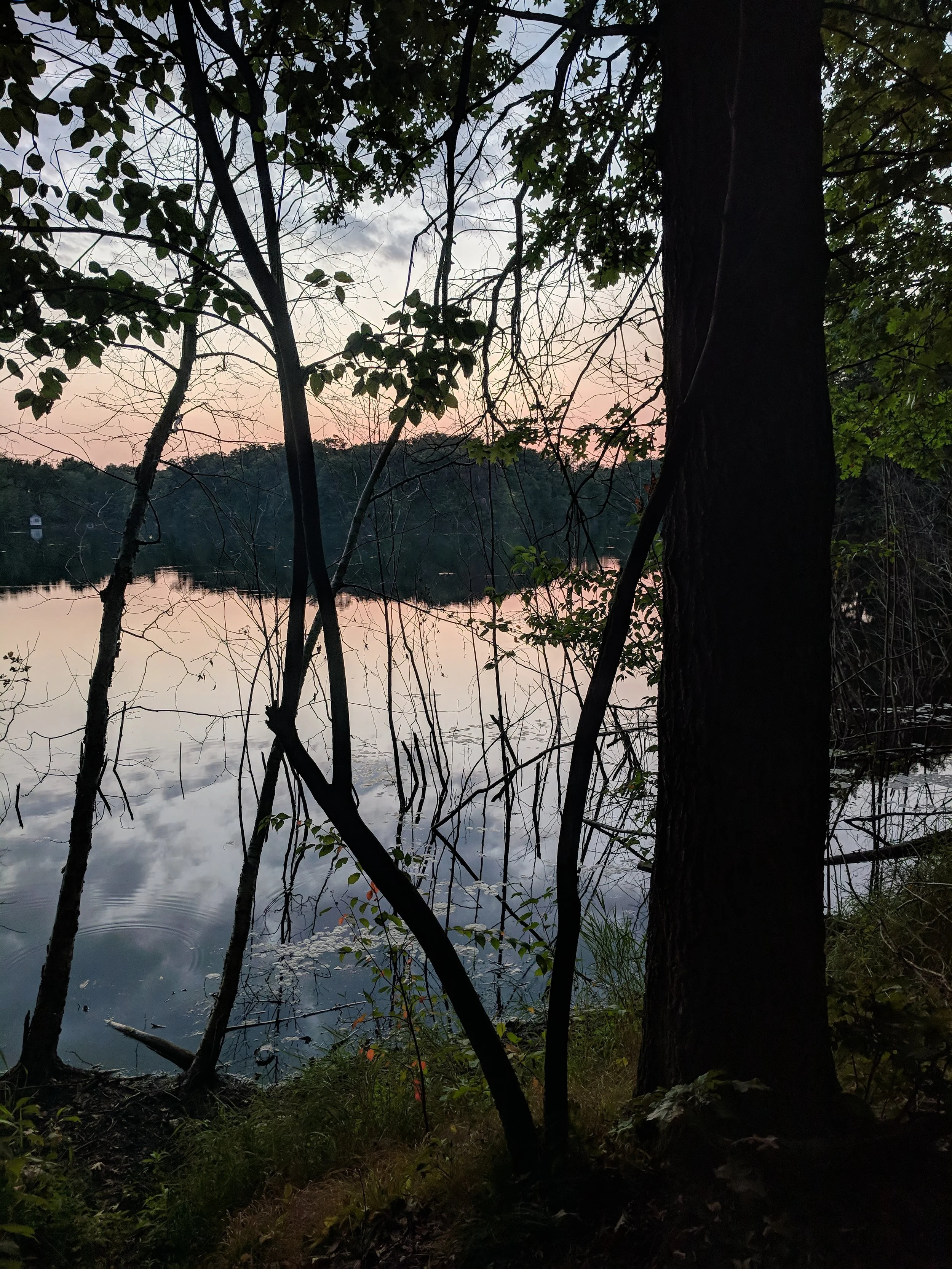 IMG_20180914_192138.jpg